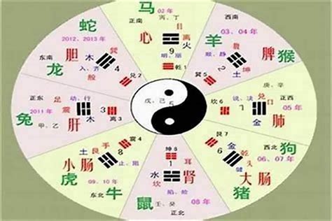 琛 五行|琛字的五行属性